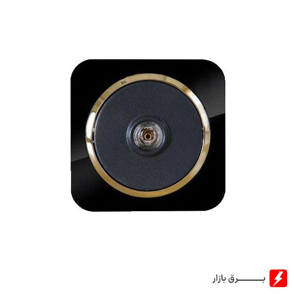 فیش-بلندگو-آداپلکسی-مشکی-زه-طلایی-مکانیزم-قاب-زه
