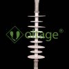 مقره سیلیکونی (24-36)kv کششی آویز فاصله خزش 949mm مدل DS-160949 برند سامانه های نوین افرا