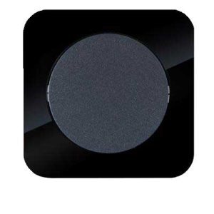 کلید و پریز آدا پلکسی مشکی دلند پلاس /کلید یک پل(مکانیزم+قاب)