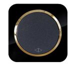 کلید و پریز آدا پلکسی مشکی زه طلایی دلند(مکانیزم+قاب+زه) / کلید کراکس