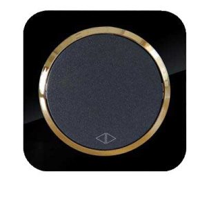 کلید و پریز آدا پلکسی مشکی زه طلایی دلند(مکانیزم+قاب+زه) / کلید کراکس