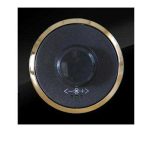 کلید و پریز آوا پلکسی مشکی زه طلایی دلند(مکانیزم+قاب+زه) / دیمر فن