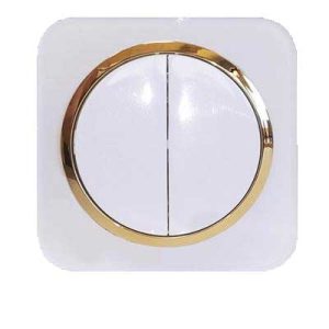 کلید و پریز آدا پلکسی سفید زه طلایی دلند (مکانیزم+قاب+زه) / کلید دو پل