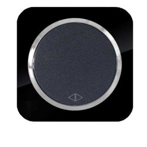 کلید و پریز آدا پلکسی مشکی زه نقره ای دلند(مکانیزم+قاب+زه)/کلید کراکس