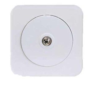 کلید و پریز آدا پلکسی سفید دلند پلاس /فیش بلندگو(مکانیزم+قاب)