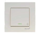 کلید و پریز آسا کرم دلند پلاس/کلید تبدیل