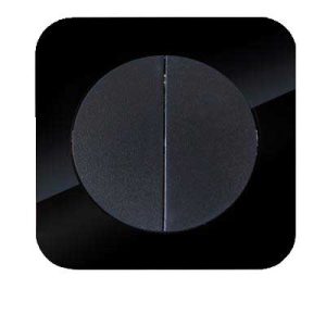 کلید و پریز آدا پلکسی مشکی دلند پلاس /کلید دو پل(مکانیزم+قاب)