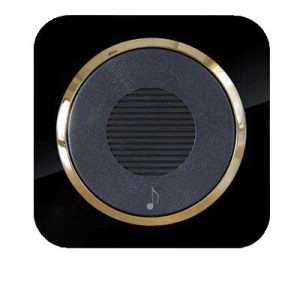 کلید و پریز آدا پلکسی مشکی زه طلایی دلند(مکانیزم+قاب+زه) / زنگ ملودی