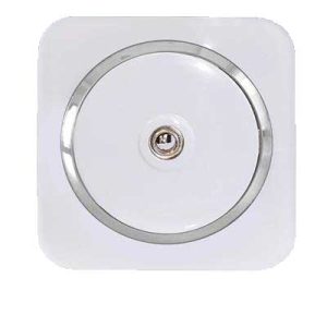 کلید و پریز آدا پلکسی سفید زه نقره ای دلند(مکانیزم+قاب+زه) / فیش آنتن