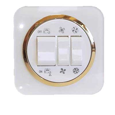 کلید و پریز آدا پلکسی سفید زه طلایی دلند (مکانیزم+قاب+زه) / کلید کولر