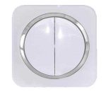 کلید و پریز آدا پلکسی سفید زه نقره ای دلند(مکانیزم+قاب+زه) / کلید دو پل