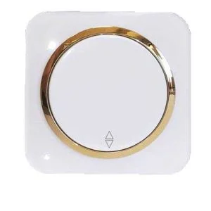 کلید و پریز آدا پلکسی سفید زه طلایی دلند (مکانیزم+قاب+زه) / کلید تبدیل