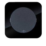 کلید و پریز آدا پلکسی مشکی دلند پلاس /کلیدکراکس(مکانیزم+قاب)