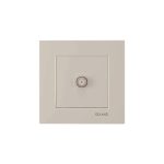 کلید و پریز آسا کرم دلند پلاس/فیش آنتن